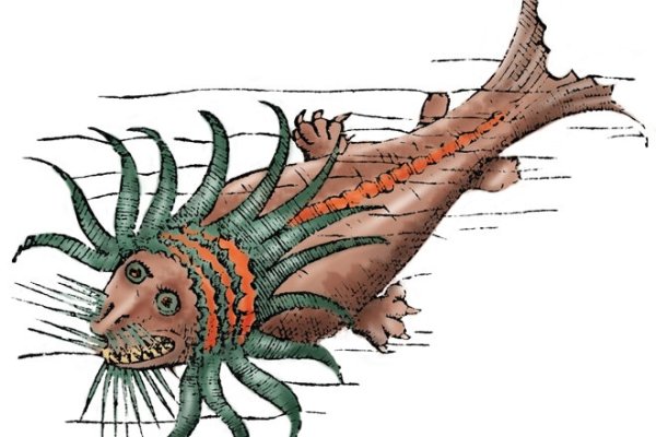Kraken рабочее зеркало onion
